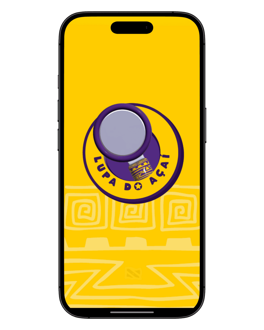 Imagem 1 do projeto Lupa do Açaí, destacando características visuais ou detalhes específicos