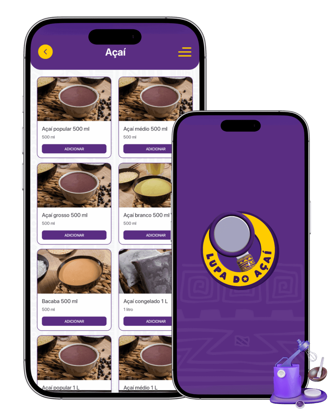 Imagem 2 do projeto Lupa do Açaí, destacando características visuais ou detalhes específicos