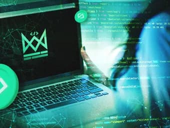 Programador de software: O que ele faz que possa ajudar minha empresa?