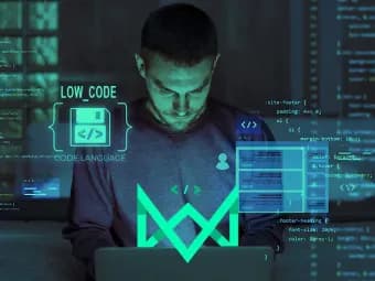 Low code: o que é e qual sua importância?
