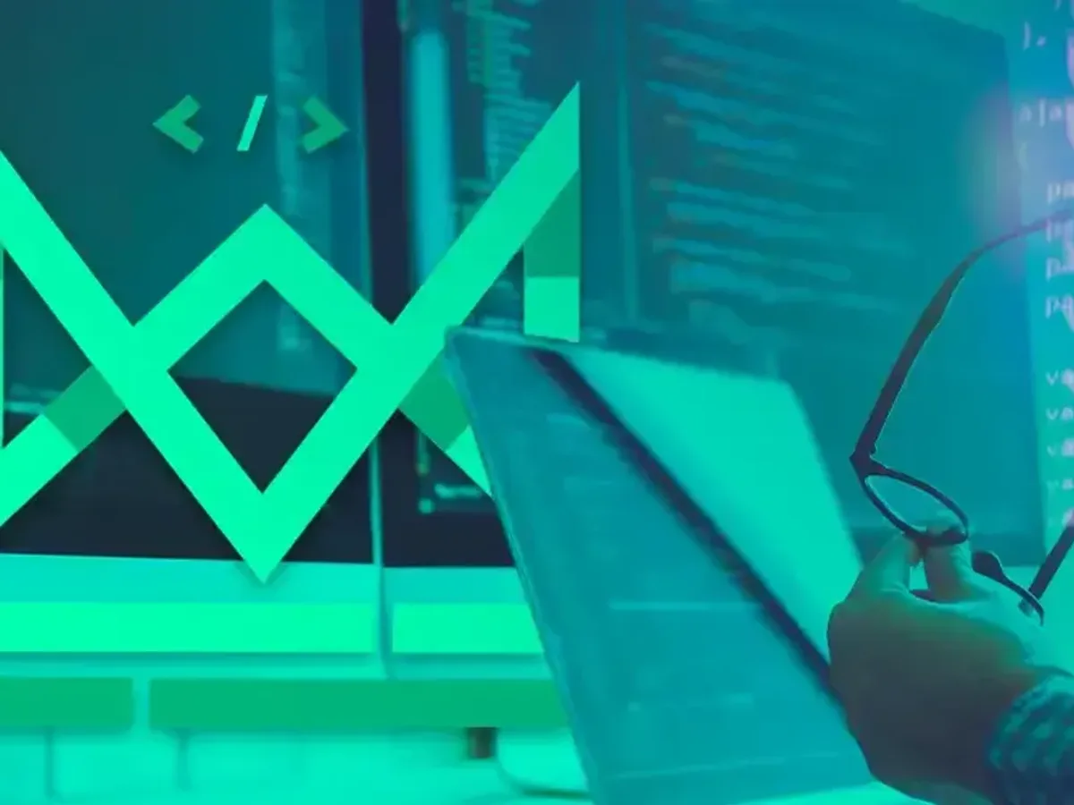 Empresas desenvolvedoras de software: Por que cresceram?