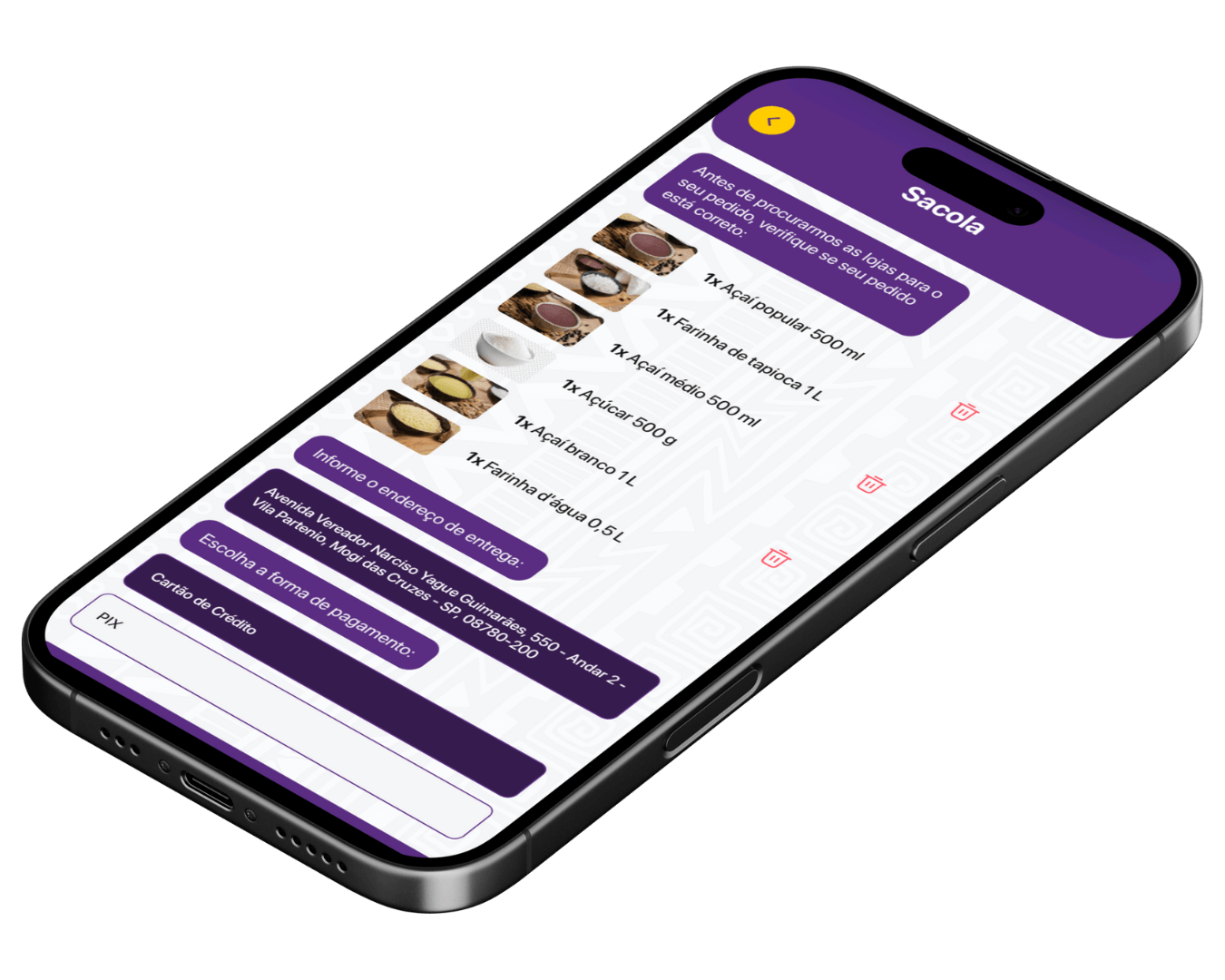 Imagem 2 do projeto Lupa do Açaí, destacando características visuais ou detalhes específicos